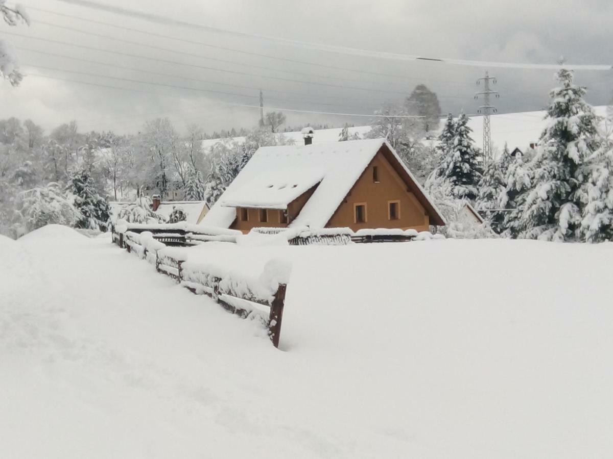 Apartmány Studený Kunratice (Usti nad Labem) Exterior foto